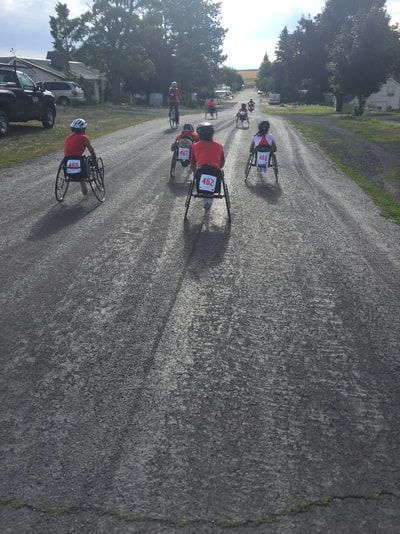 Racers with race bibs head down a tree-lined road, seen from behind