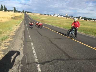 Coach on a bike waits as three racers come up a rural road