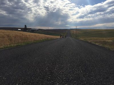Long rural road with distant racers under a cloudy sky