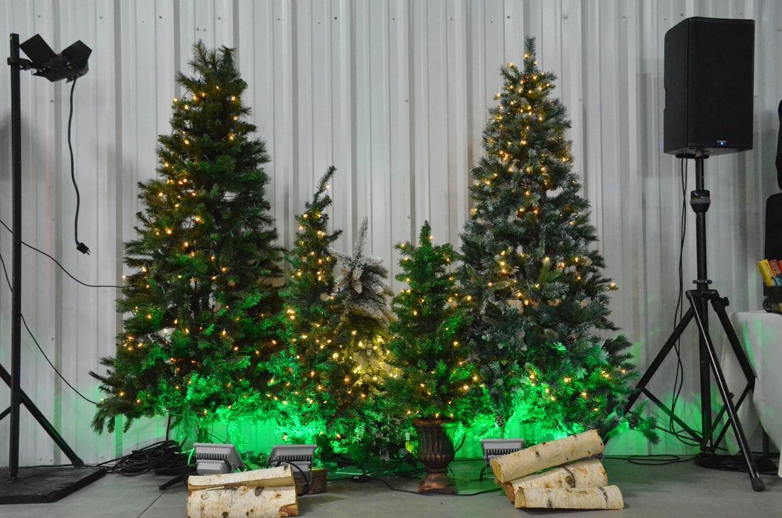 Lit evergreen trees with green uplighting and birch logs beside a speaker
