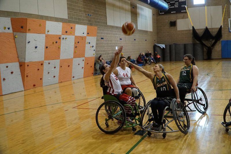 Players in white and green stretch for a rebound by the climbing wall