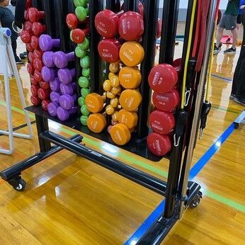 Rack of colorful dumbbells ready for a strength and conditioning circuit