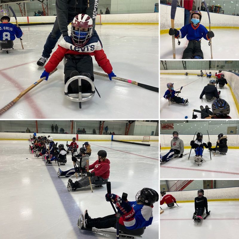 Collage of young sled hockey players pushing across the ice