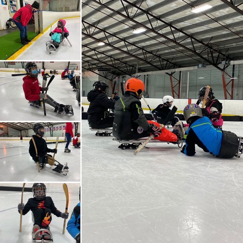Collage of sled hockey players gathered on the ice in helmets
