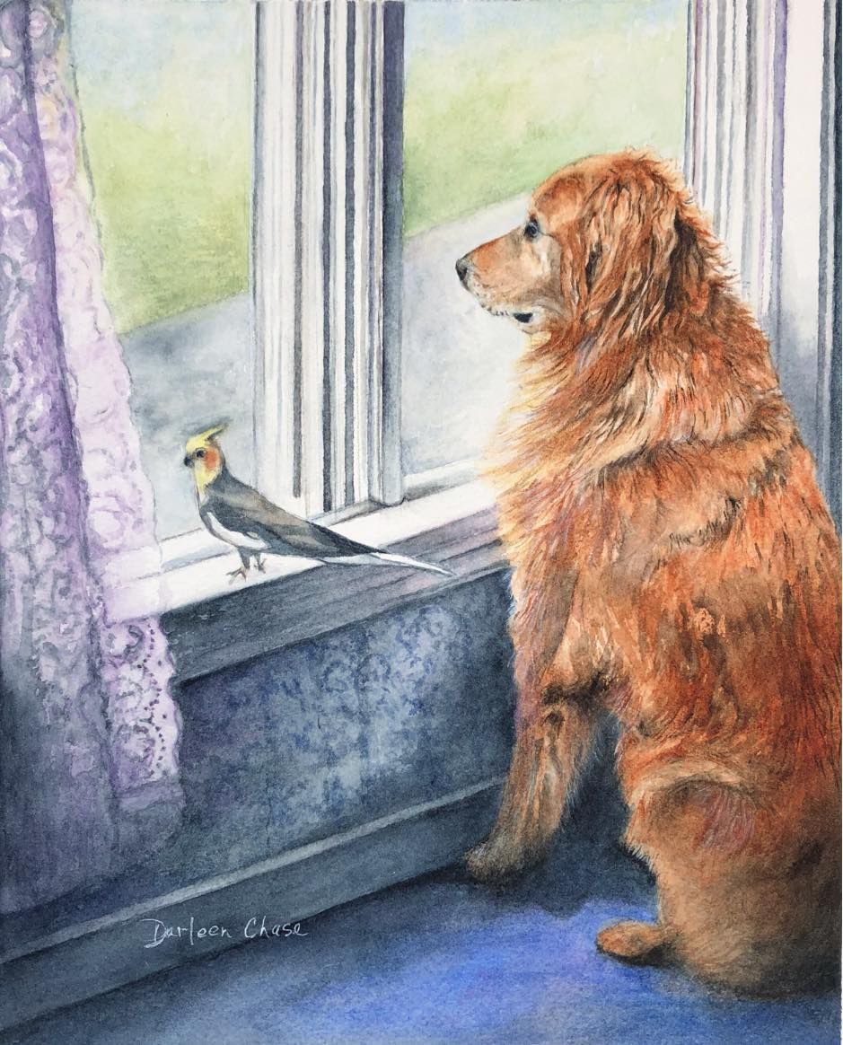 Dog watching a bird on a windowsill beside a purple curtain and bright window