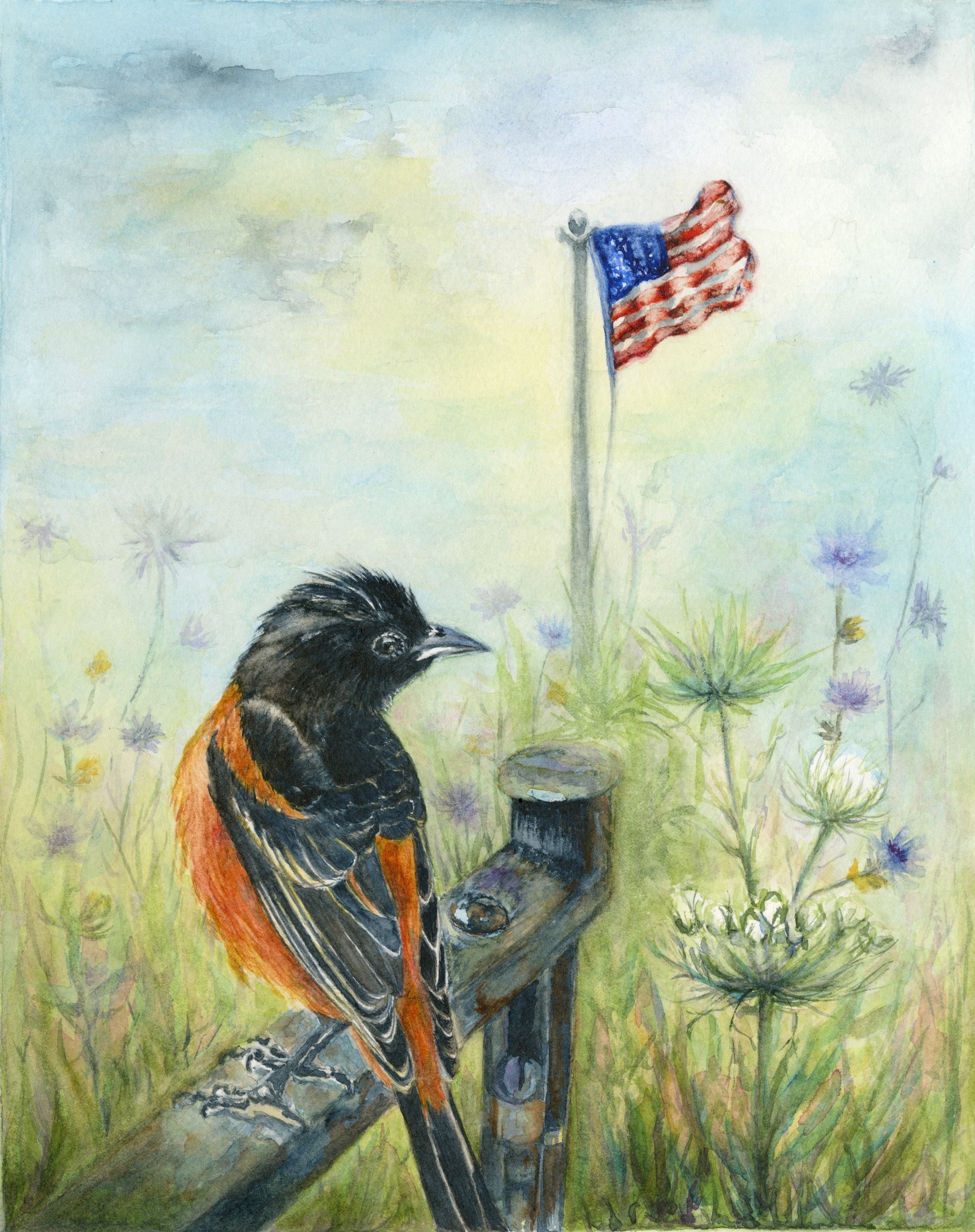 Blackbird on a fence post beside wildflowers, with an American flag in the background.