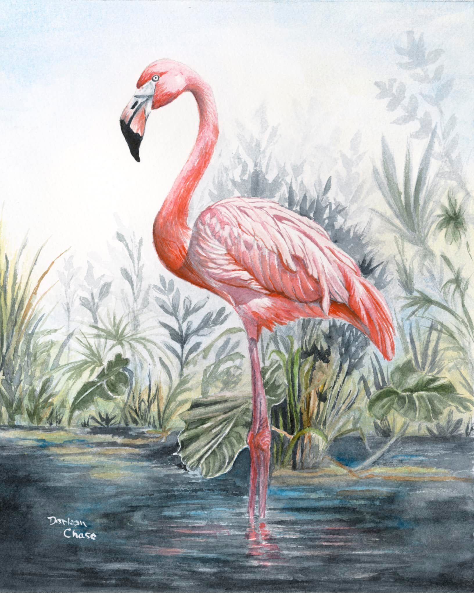 Pink flamingo standing in shallow water amid green reeds and marsh plants