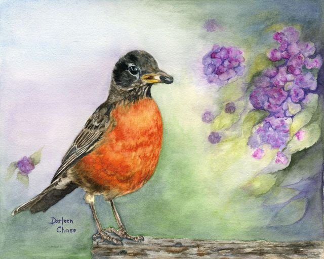 Robin with orange breast perched on a branch beside purple flowers.