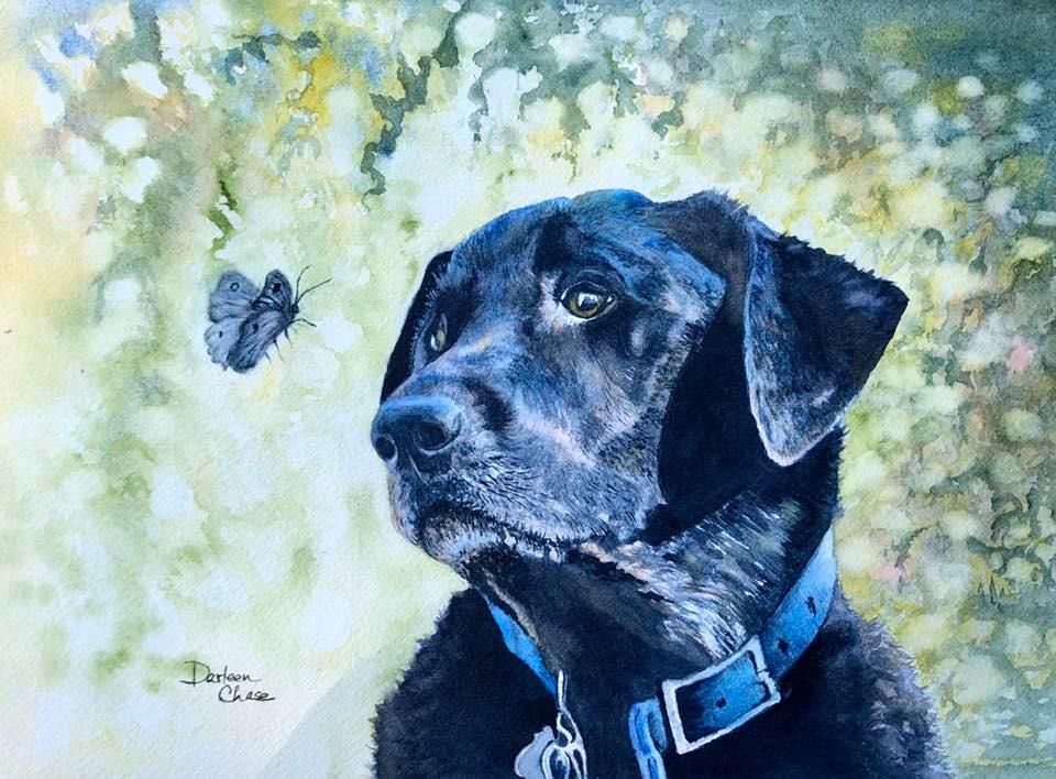 Black dog with blue collar gazing at a butterfly against a soft green background.