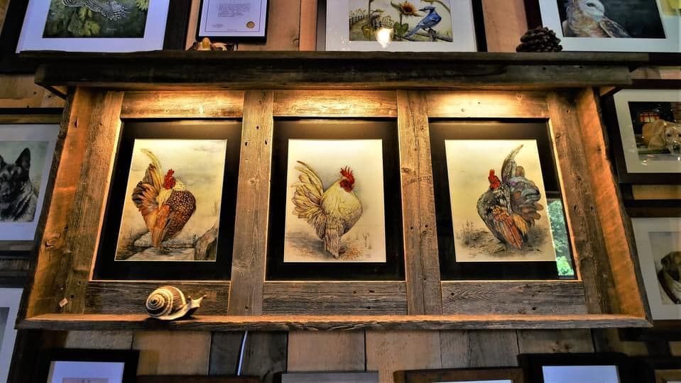 Framed bird paintings displayed in a rustic wooden gallery wall with warm lighting