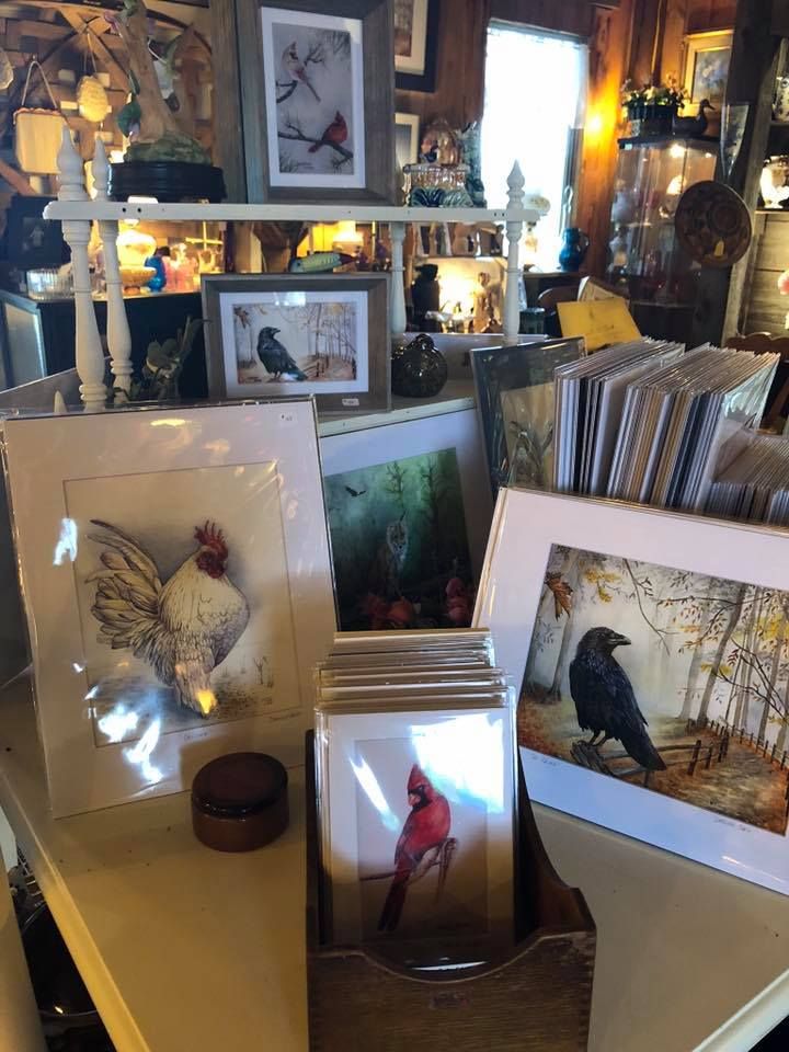 Bird prints and framed artwork displayed on a warmly lit shop shelf.