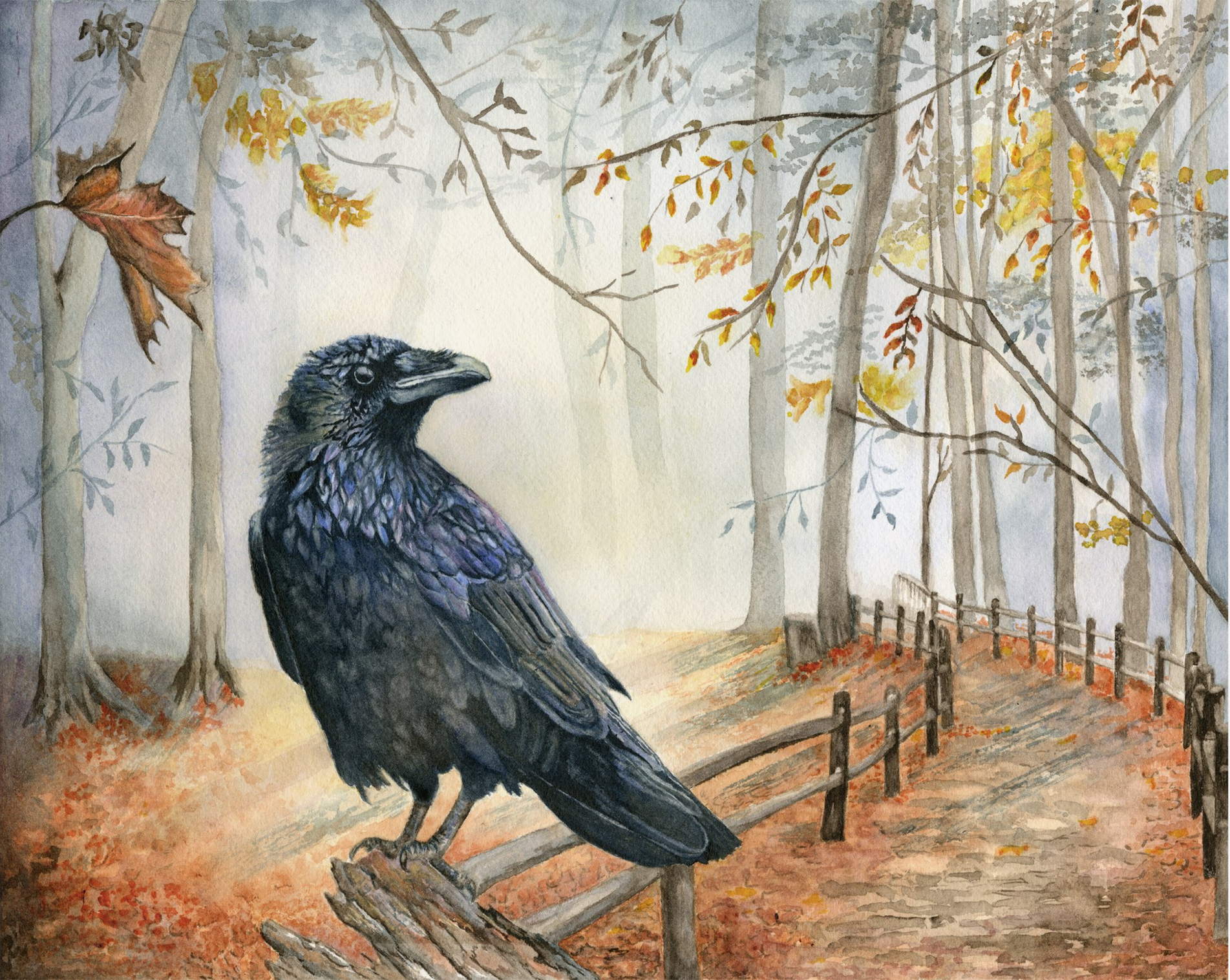 Black crow perched on a branch in an autumn forest with bare trees and a winding path.