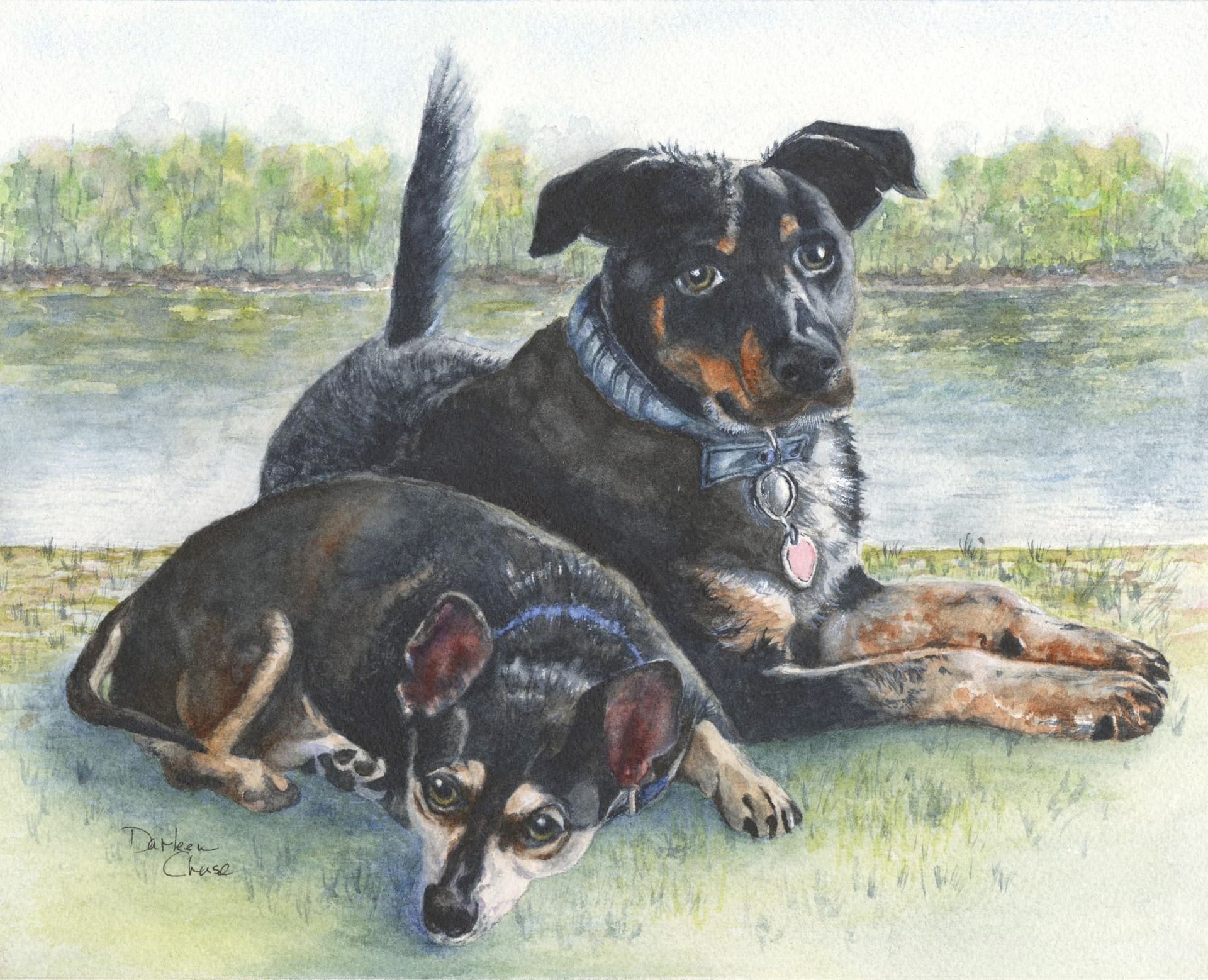 Two black-and-tan dogs resting on grass by a calm lakeside.