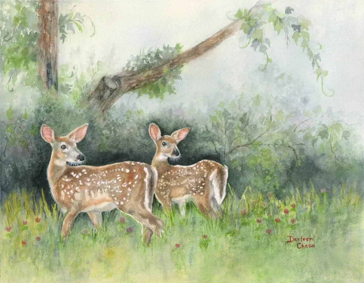 Two spotted deer standing in a misty green forest clearing, one looking toward the viewer.