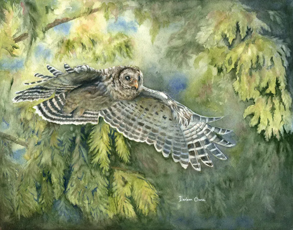 Owl in flight over green foliage, wings spread wide against a soft, painterly background