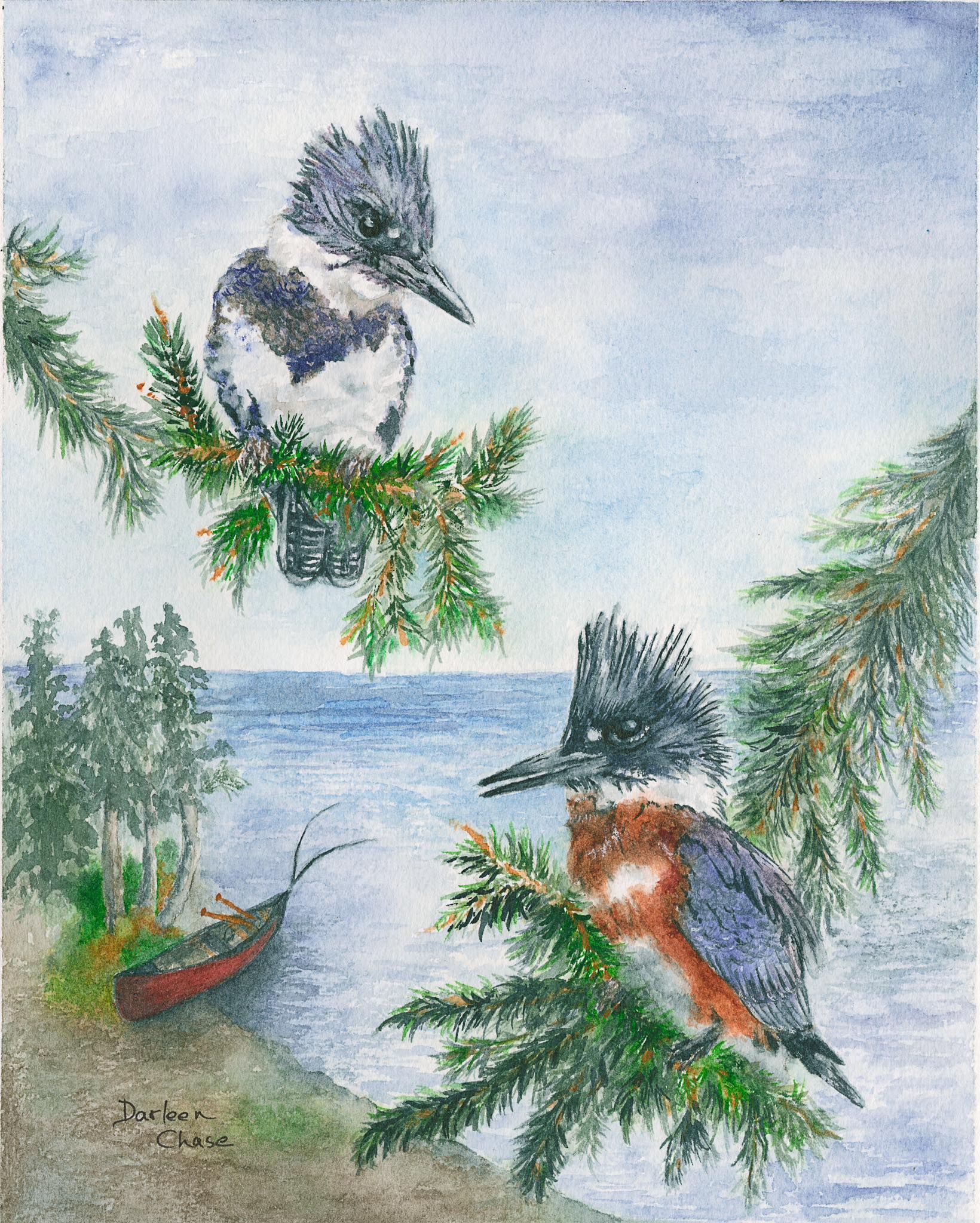 Two kingfishers on evergreen branches over a lake, with a red canoe below.