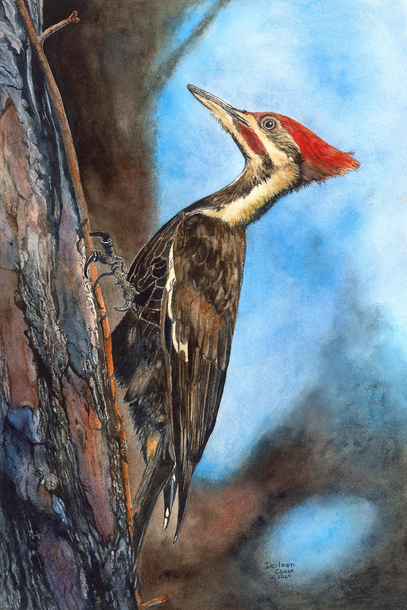 Woodpecker clinging to a tree trunk, with red crest and black-and-white plumage.