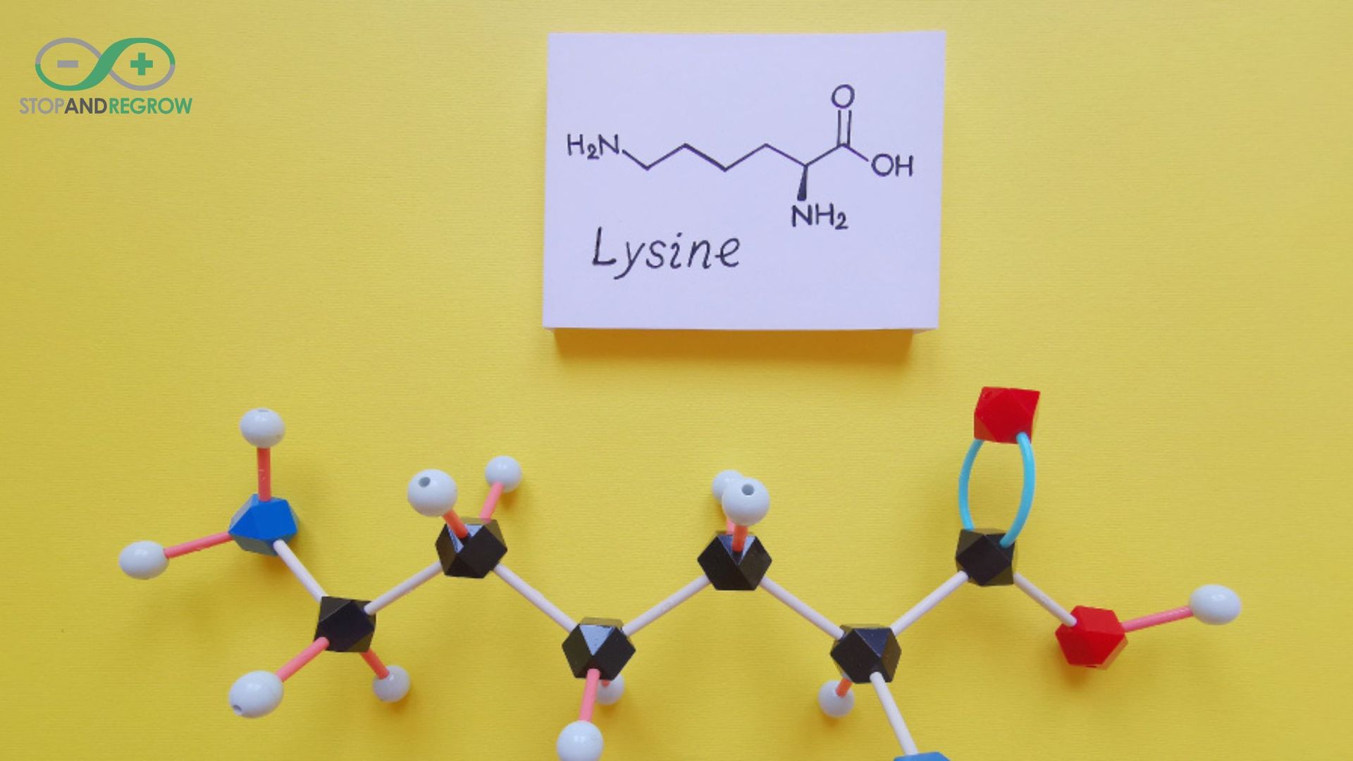 lysine for hair regrowth