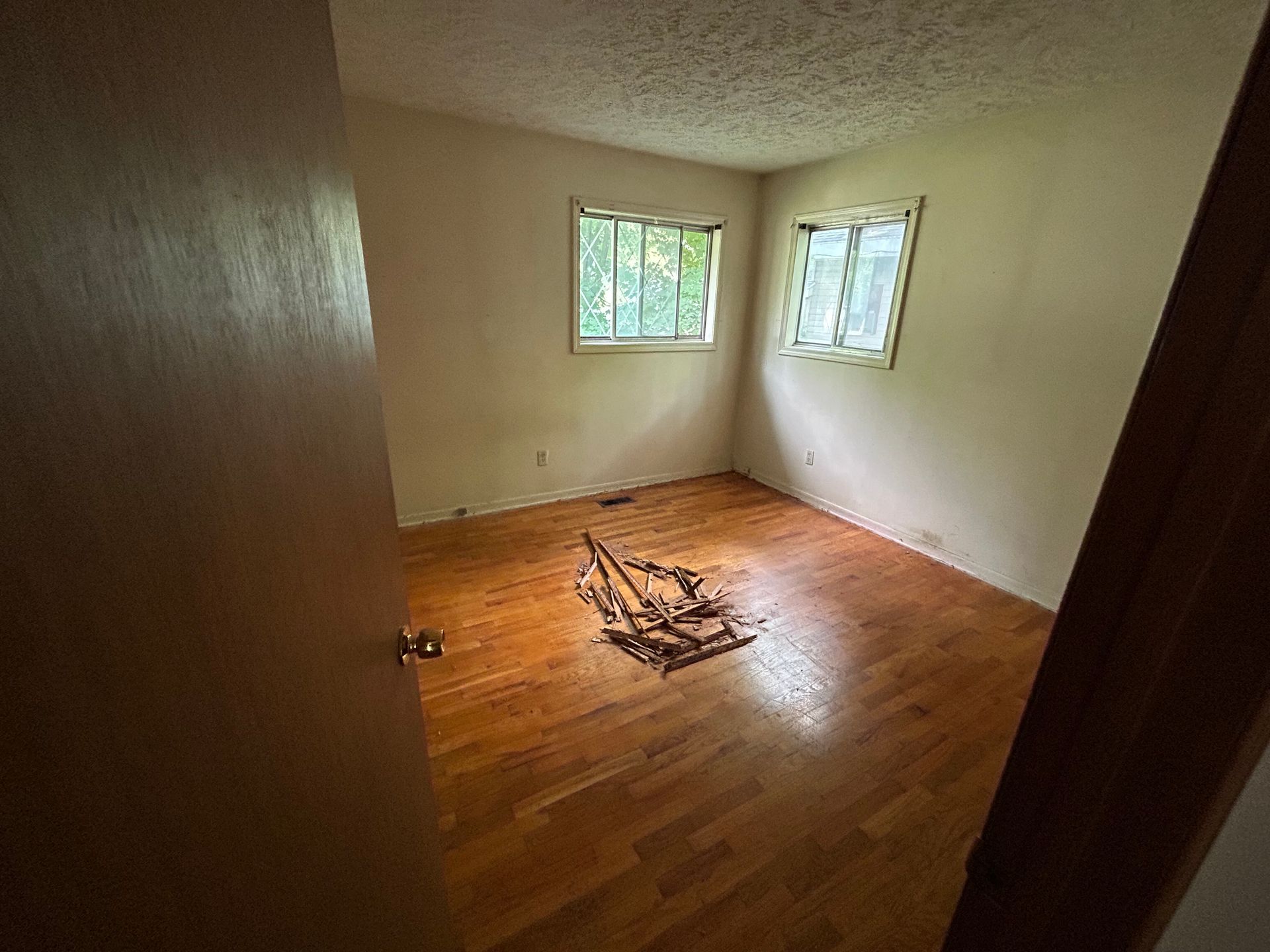 Empty room with hardwood floors, white walls, and two windows; a rug lies in the center.