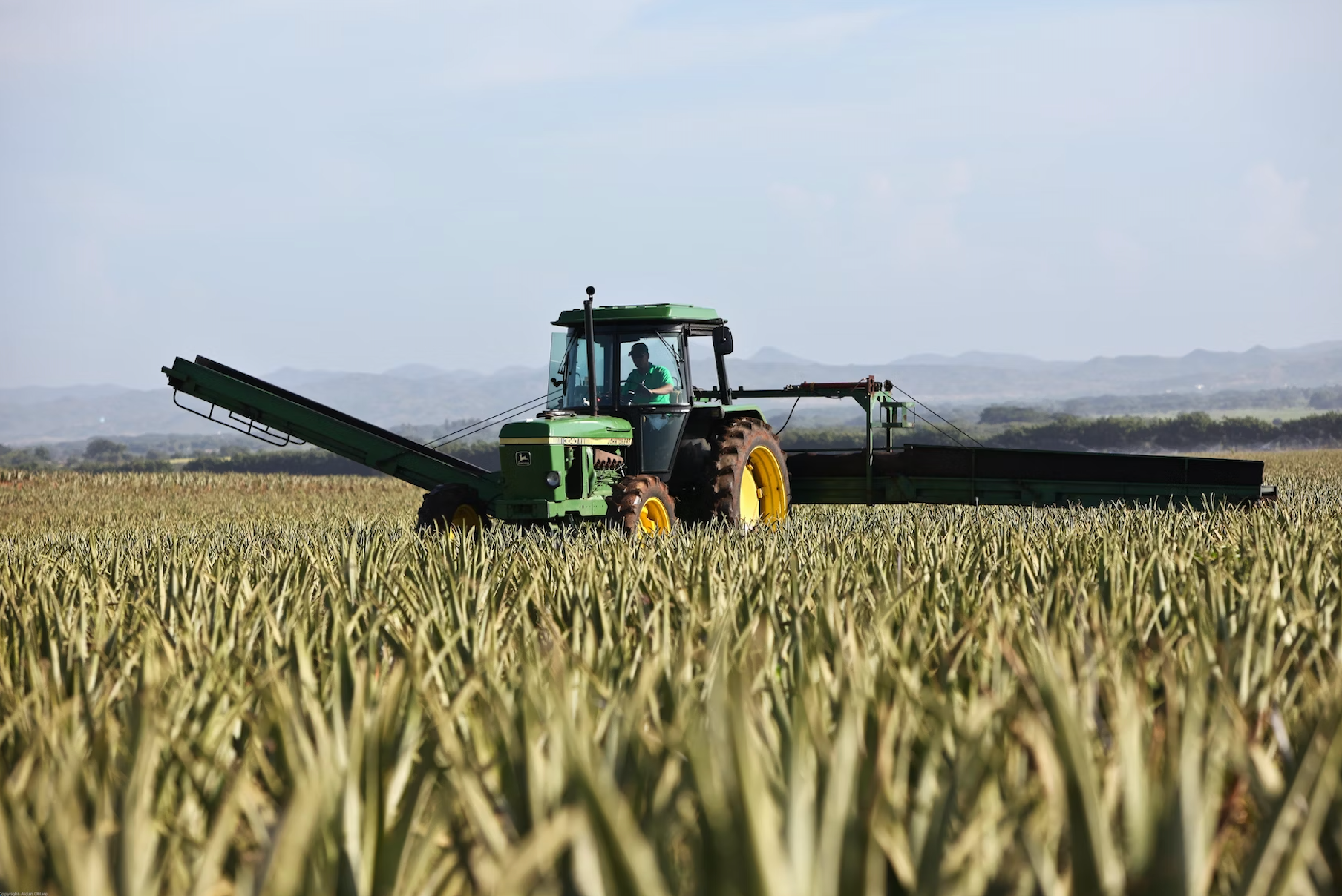 Australian tractor in field