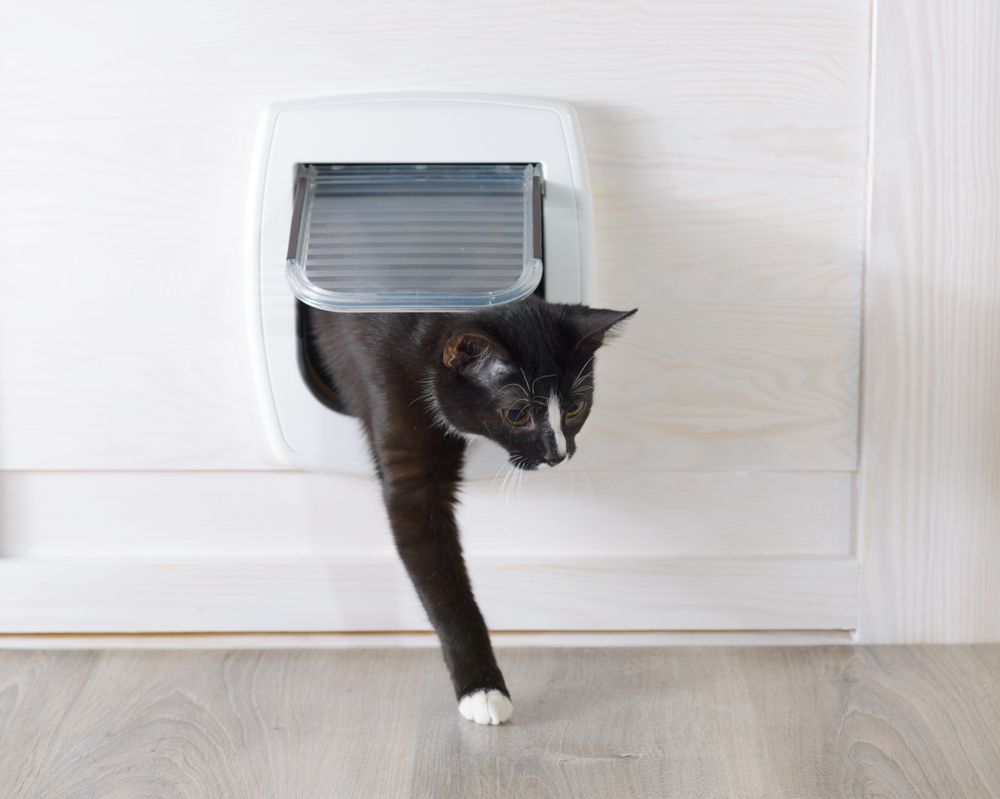 White Plastic Cat Door — Coastal Screens & Glass in Wauchope, NSW