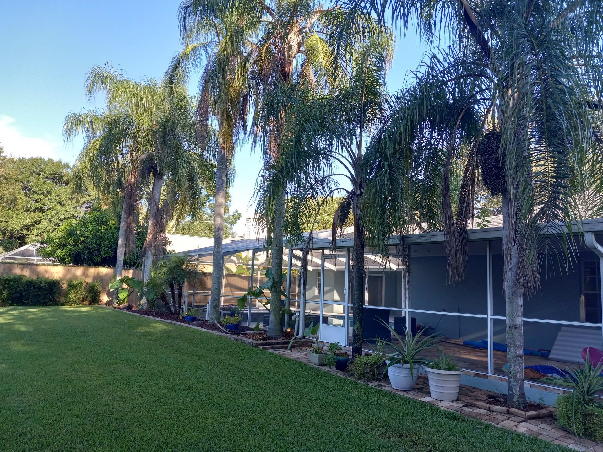 A house with a screened in porch surrounded by palm trees