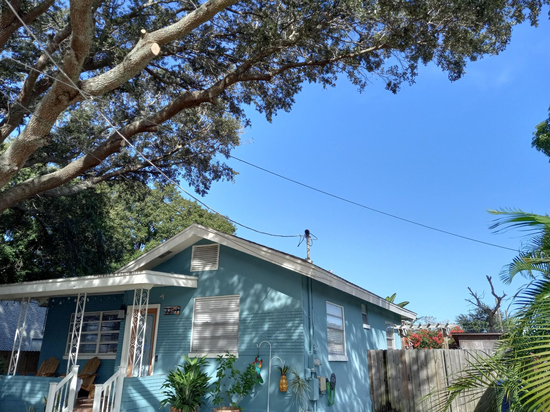 A blue house with a tree in front of it