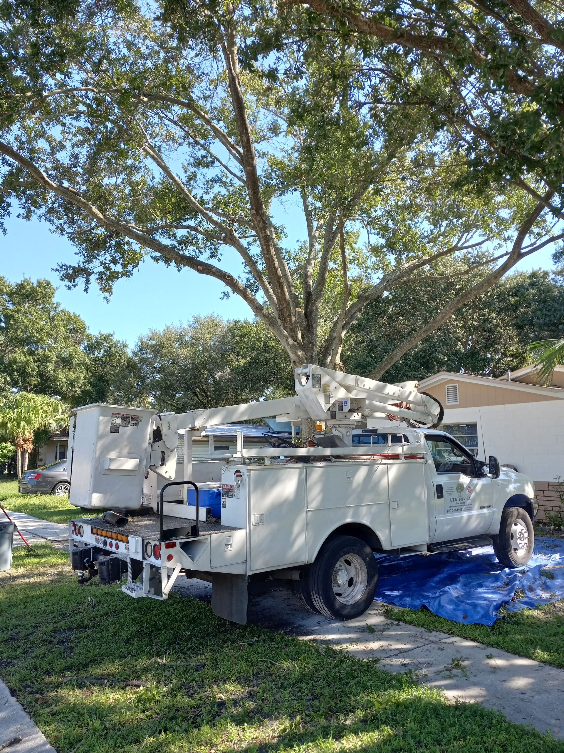 A white utility truck is parked in front of a tree.