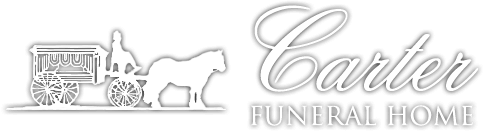 logo-image