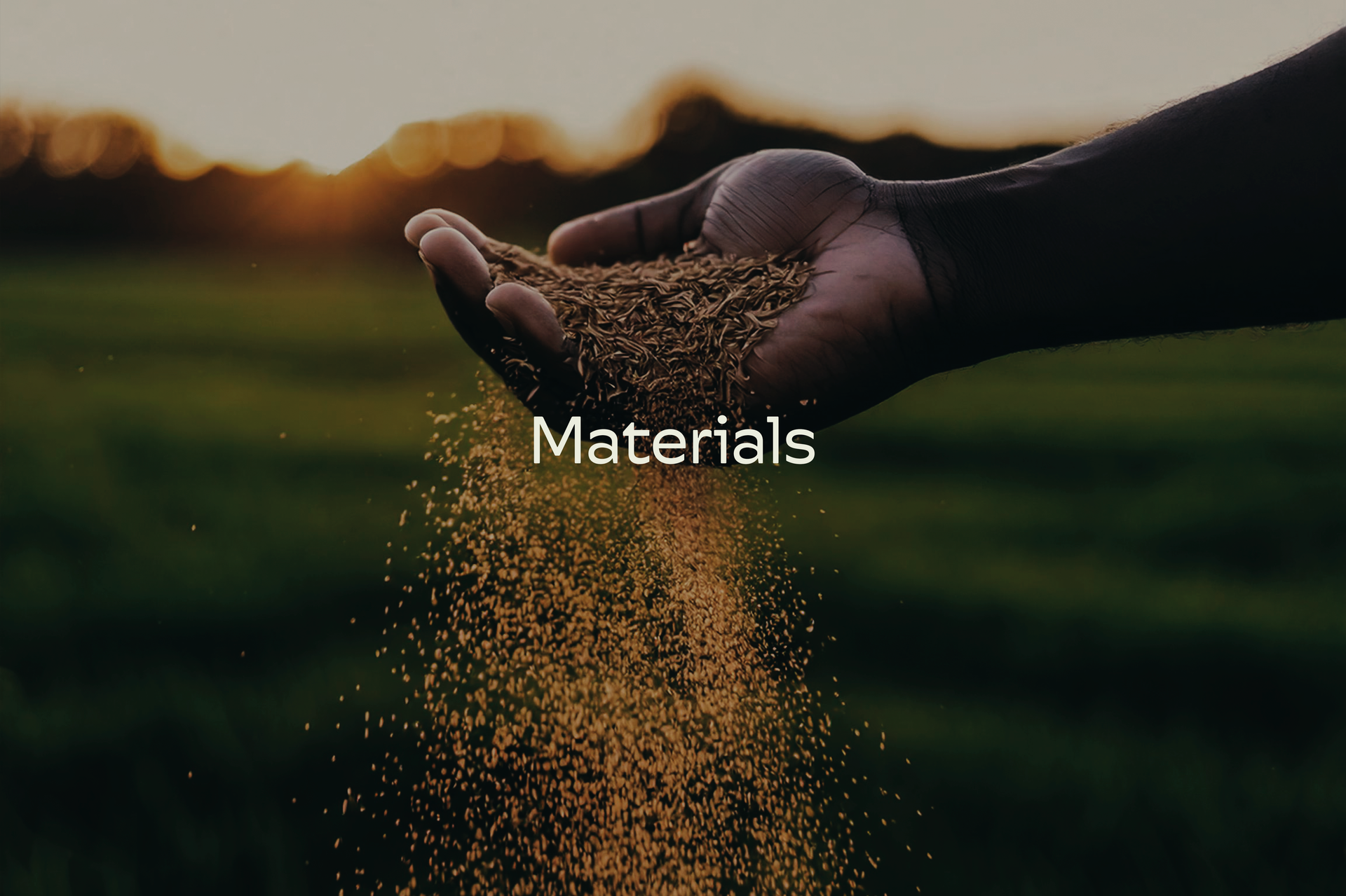 A person is holding a pile of dirt in their hand.