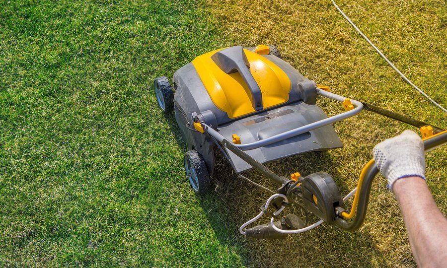 lawn care schaumburg IL