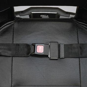 Lapbelts
