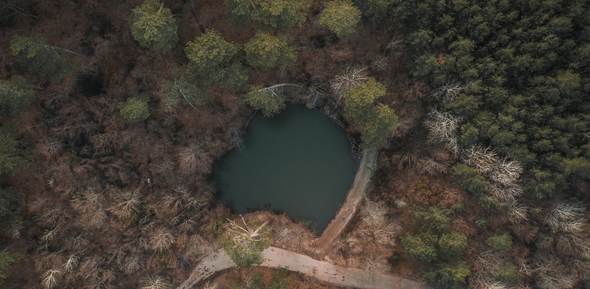 Aerial view of a dark pond surrounded by trees and brush. A path leads toward the pond on the right side.