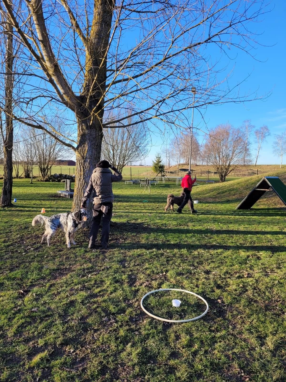 Spiel und Spaß - Hunde machen Spaß