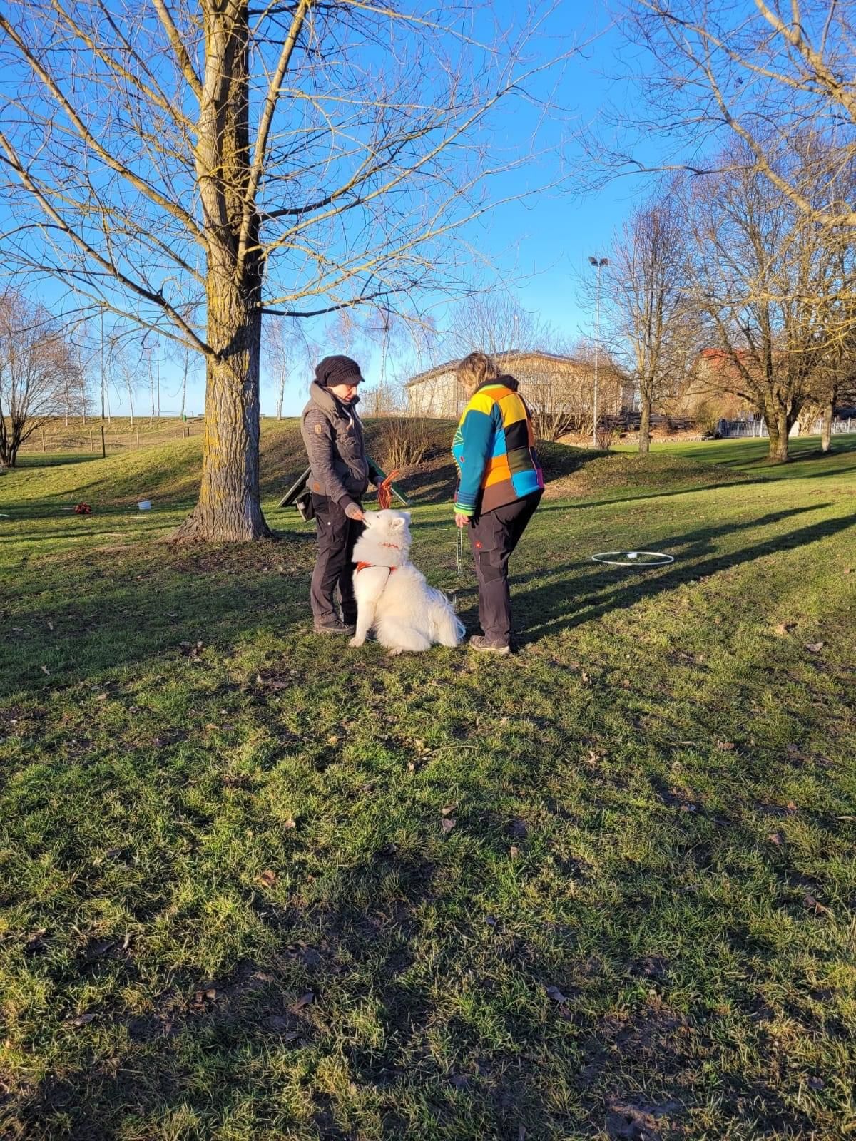 Spiel und Spaß - Hunde machen Spaß