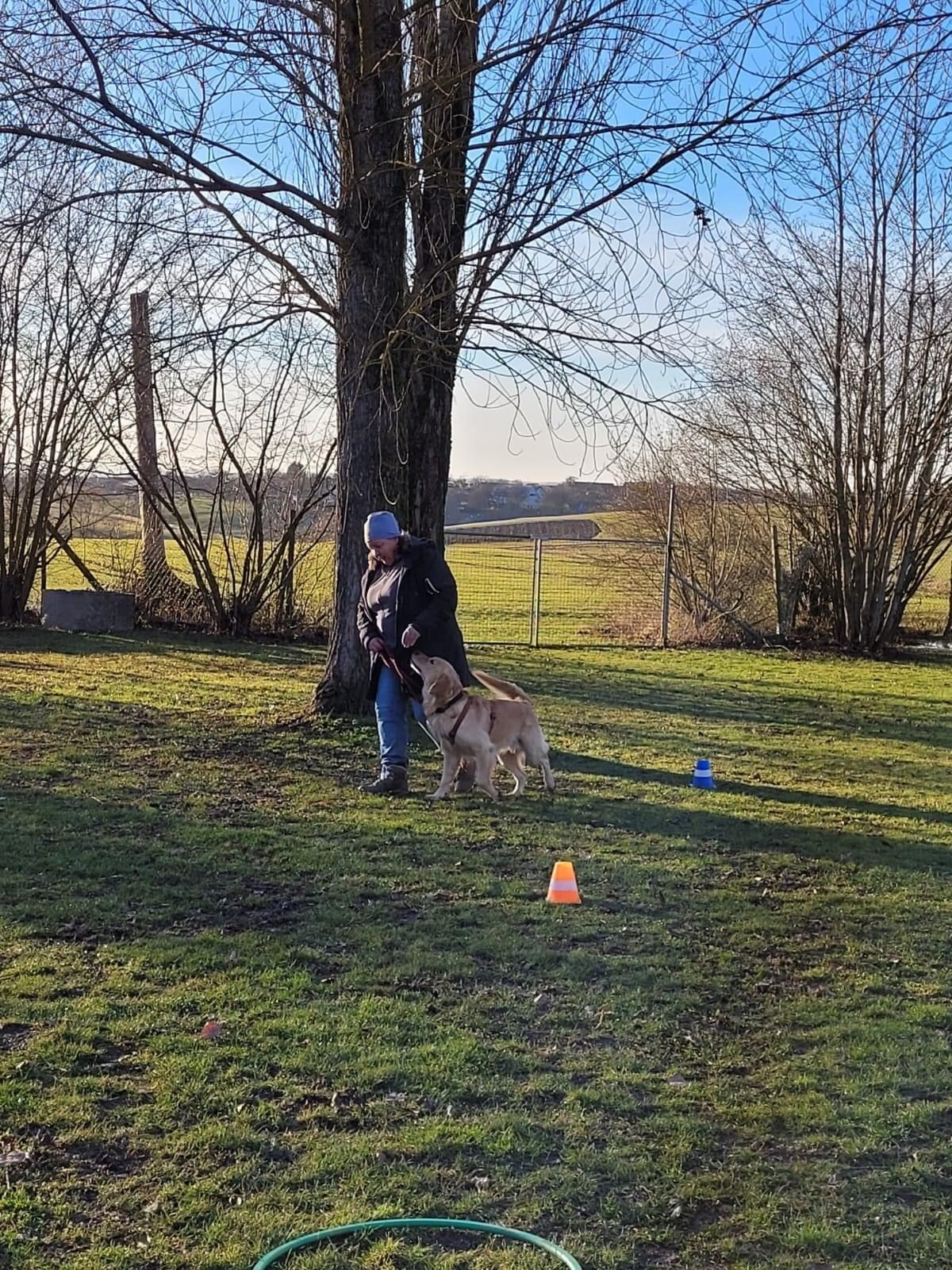 Spiel und Spaß - Hunde machen Spaß