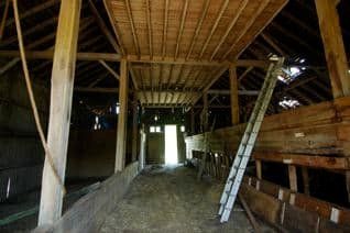 Abandoned wooden barn interior with a ladder leaning against stacked lumber and an open doorway.