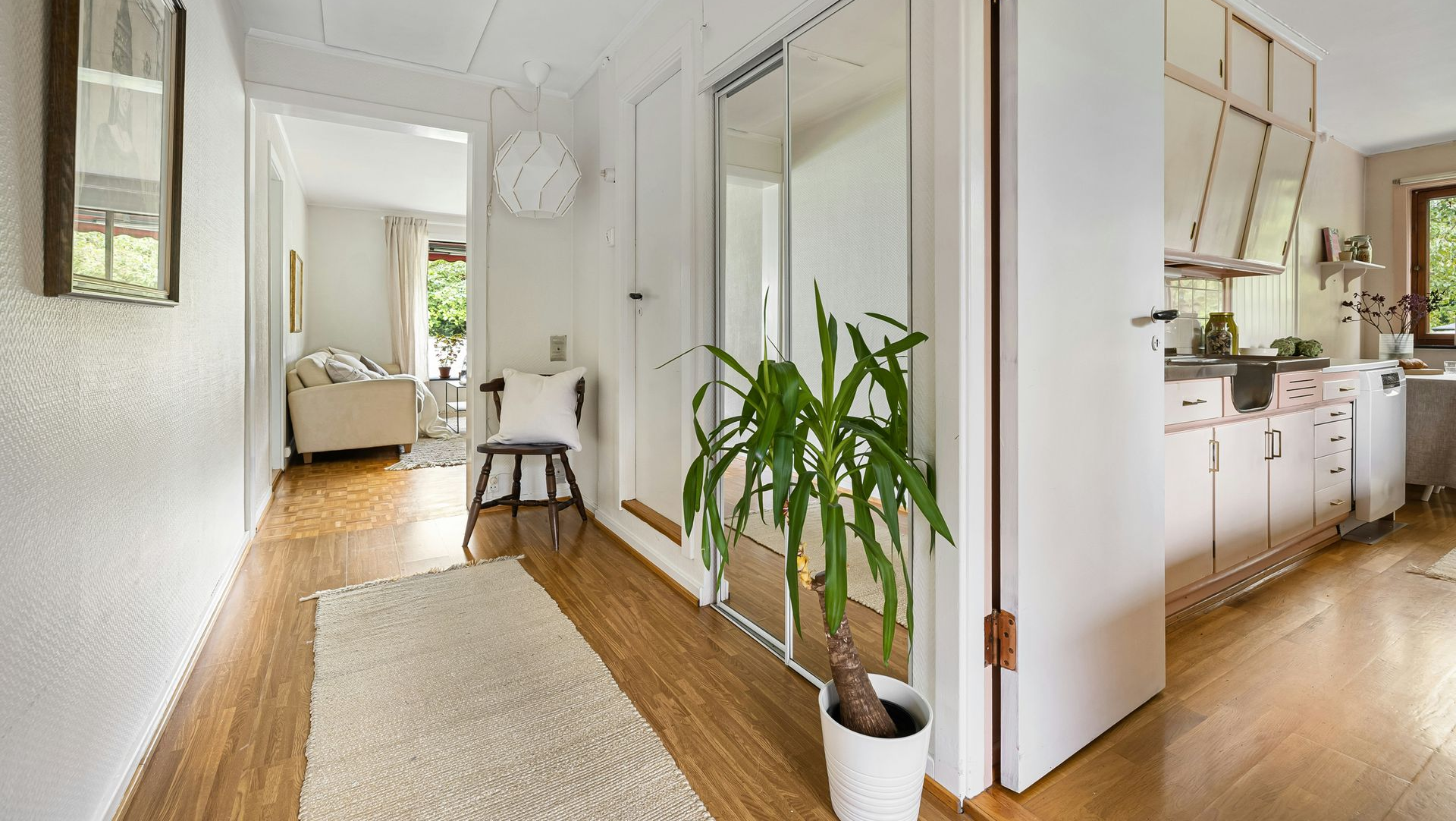Bright hallway with wood floors, white walls, rug, potted plant, and a glimpse of a kitchen