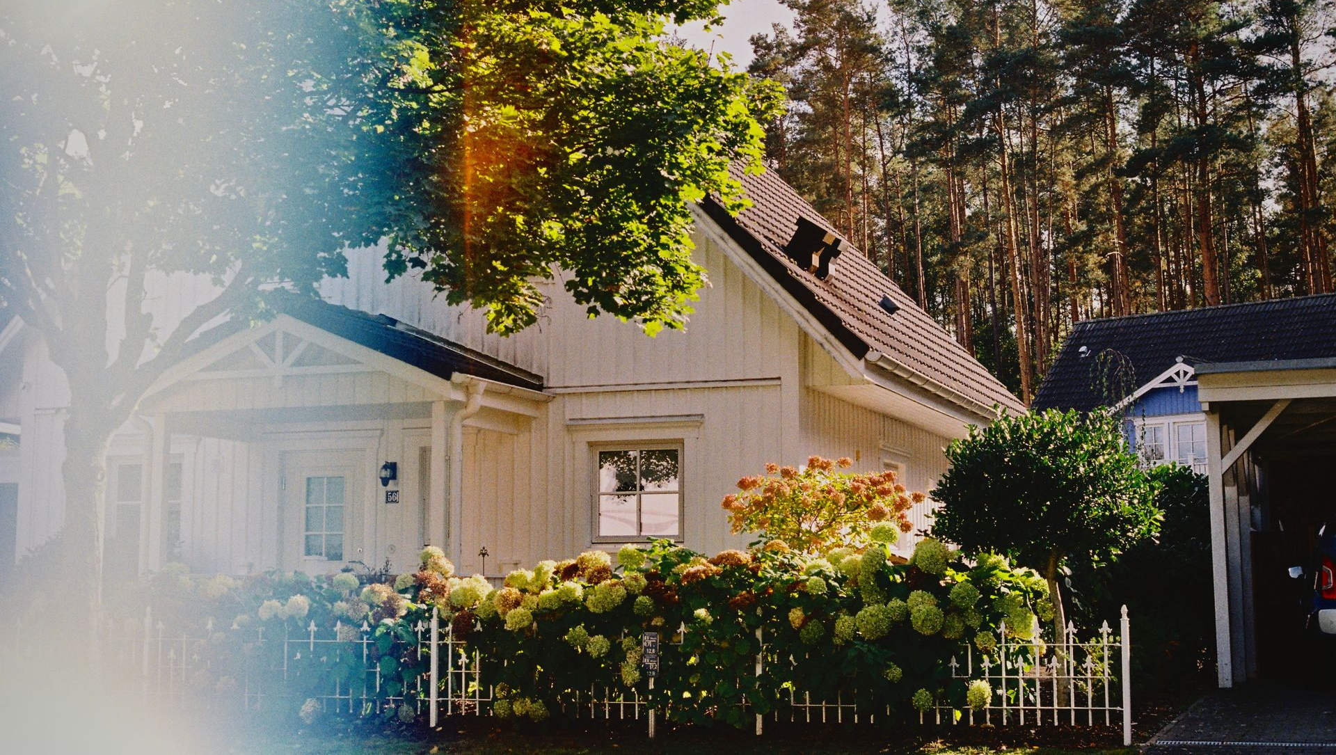 Sunlit house with white siding, lush garden, and tall trees in the background.