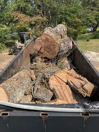 Truck bed loaded with large cut logs and wood chunks in a sunny outdoor yard
