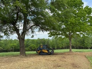 Yellow skid steer under two large trees in a grassy field on a cloudy day