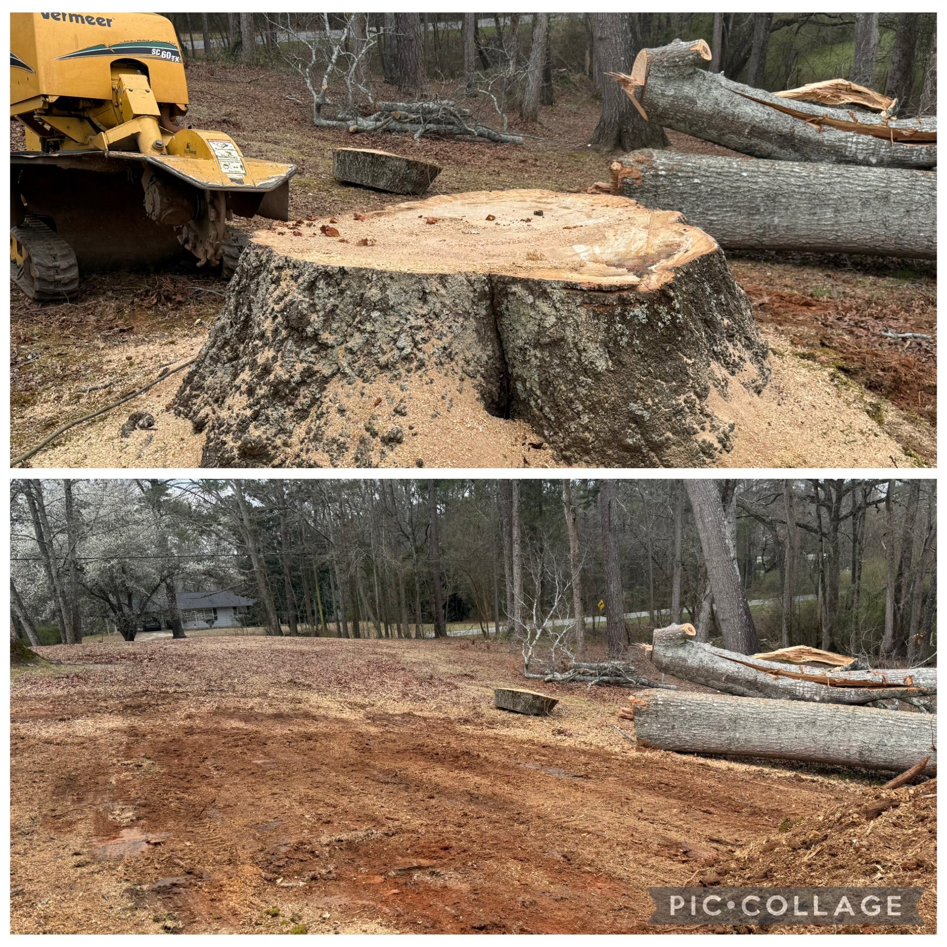 Before-and-after view of stump removal, with excavator and cleared dirt area in a wooded lot.