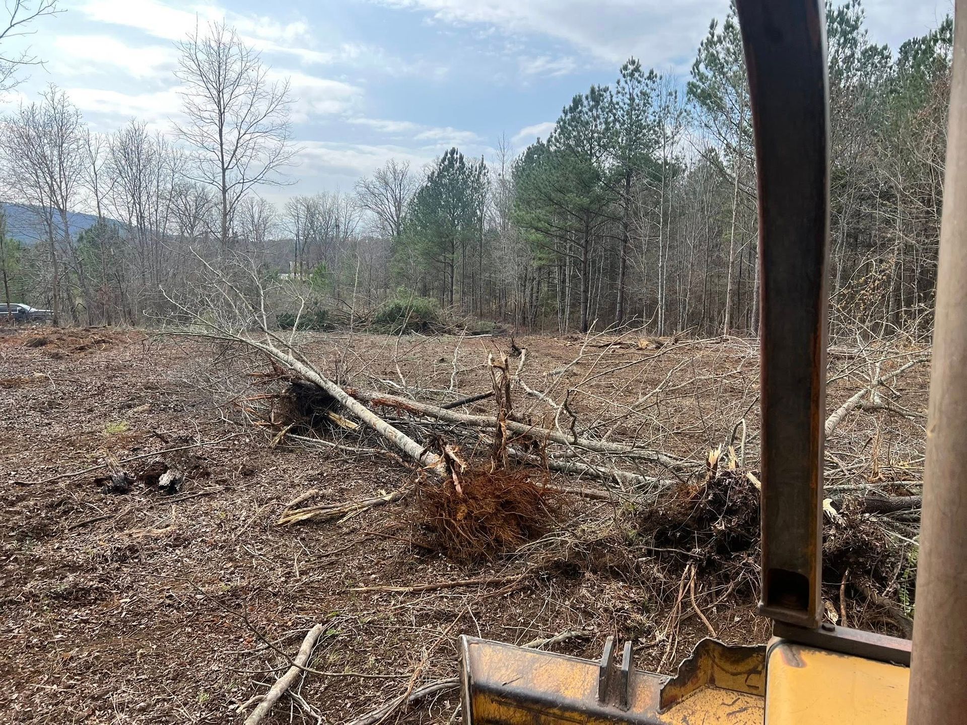 Cleared woodland with fallen tree trunks, dry brown ground, and a wooden post in the foreground
