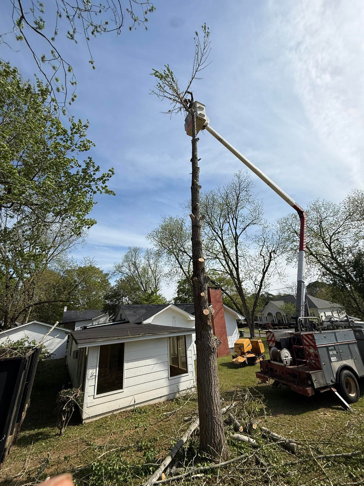 Tree crew trimming a tall tree with a bucket truck beside a white house on a sunny day