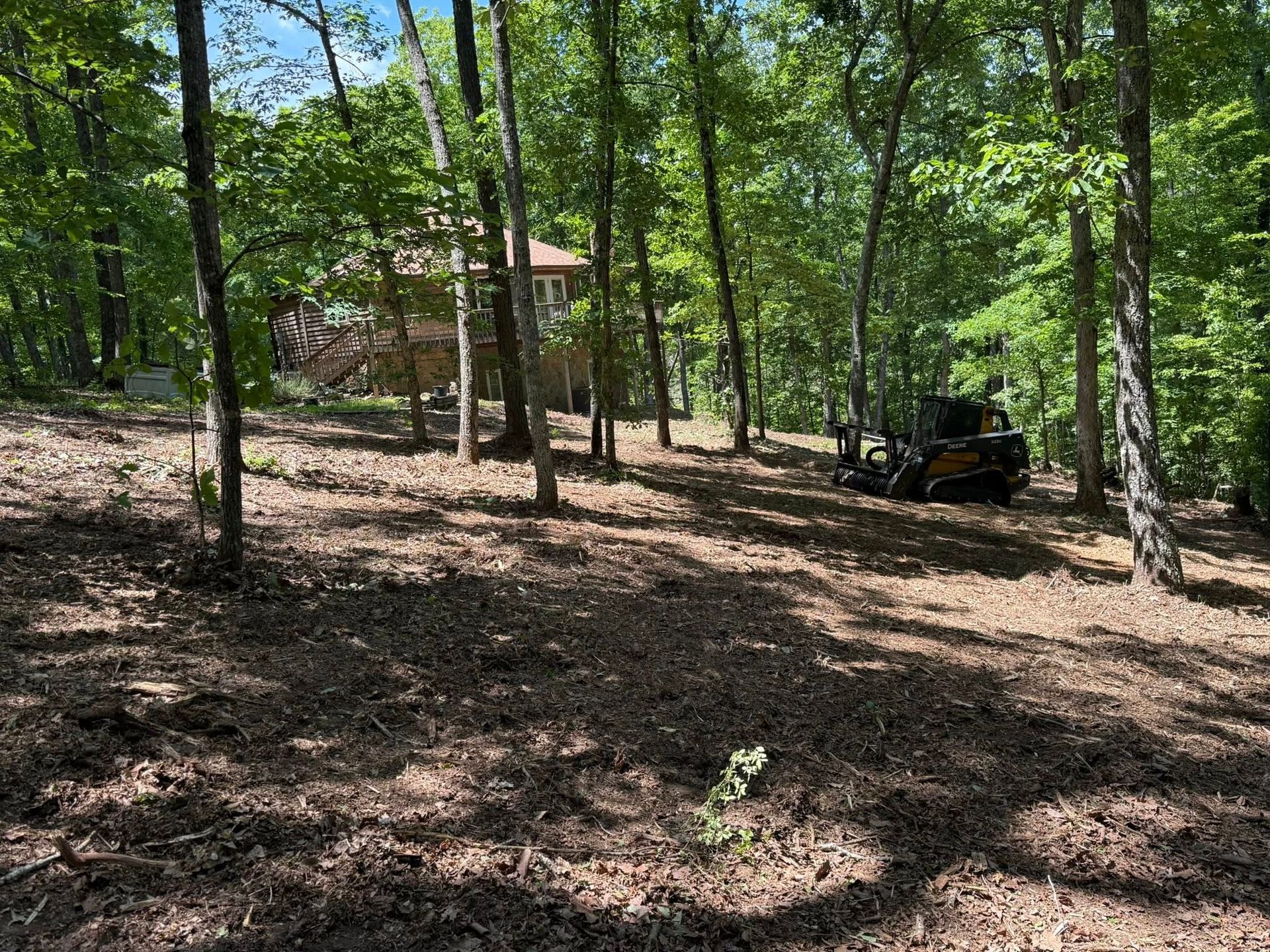 Wooded campsite with a small cabin and an off-road vehicle on leaf-covered ground
