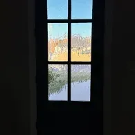 Window with four panes showing a sunlit outdoor scene against a dark interior wall