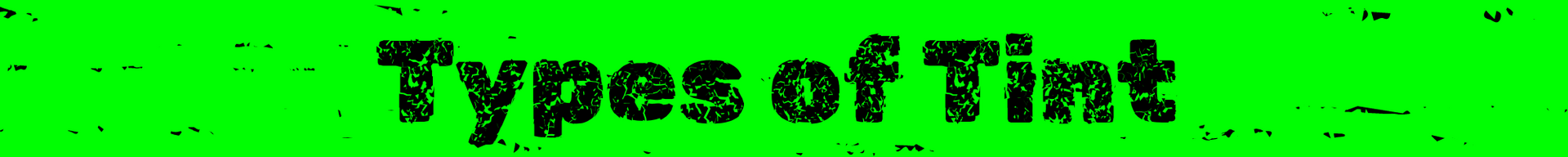 Black text reading “Types of Text” on a bright green background.