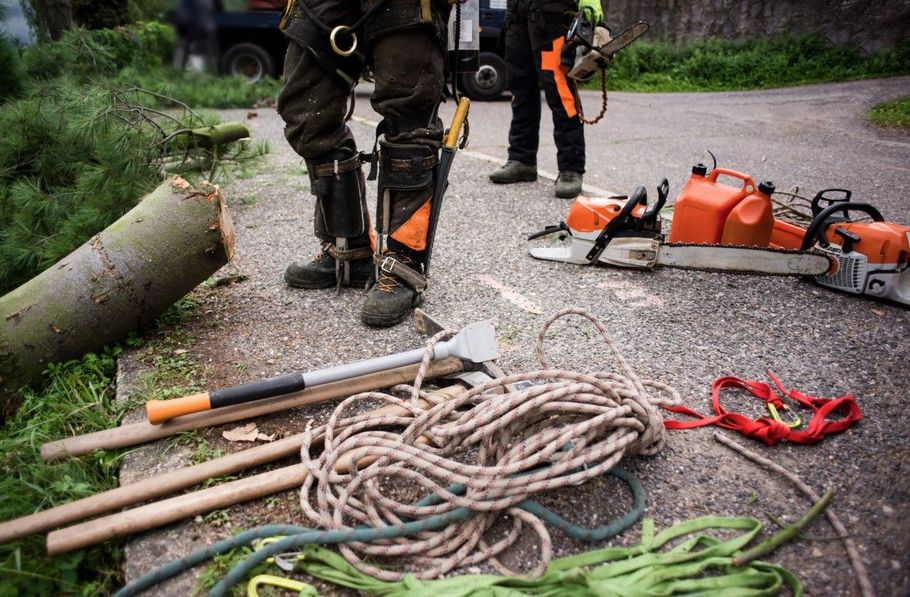 Arborists stand near tree work equipment including chainsaws, a felling axe, climbing rope, and gear on a paved surface.