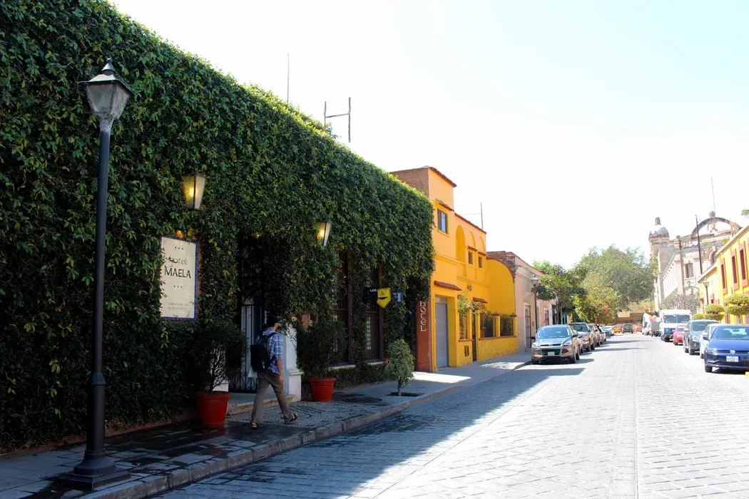 Una escena callejera soleada en México, con un edificio cubierto de densas enredaderas verdes y coches aparcados.