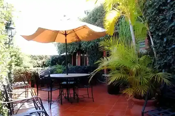 A round dining table with an umbrella on a red-tiled patio, surrounded by lush potted plants and climbing ivy.